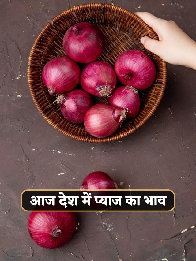 आज देश में प्याज का भाव ?