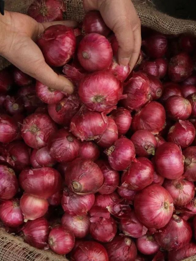 आज 30 April 2025 प्याज का मंडी भाव!