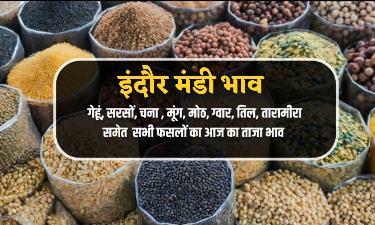 aaj ka indore mandi bhav