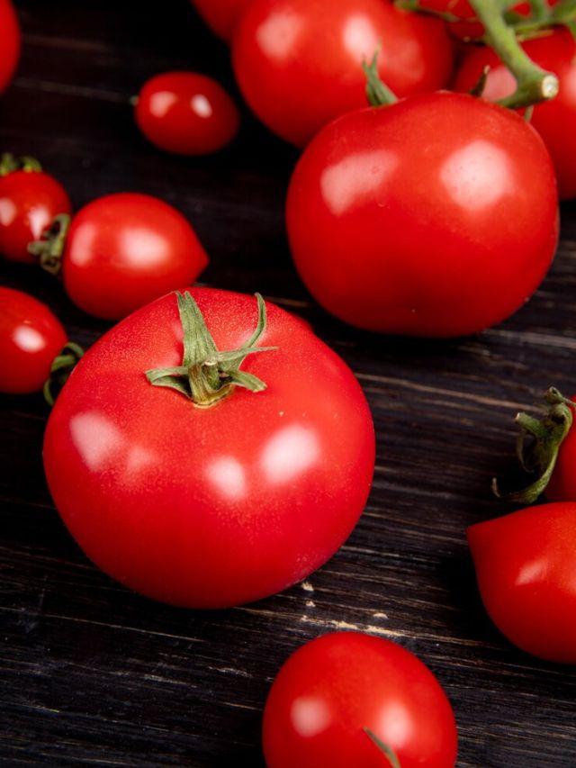 Today's Tomato market rate